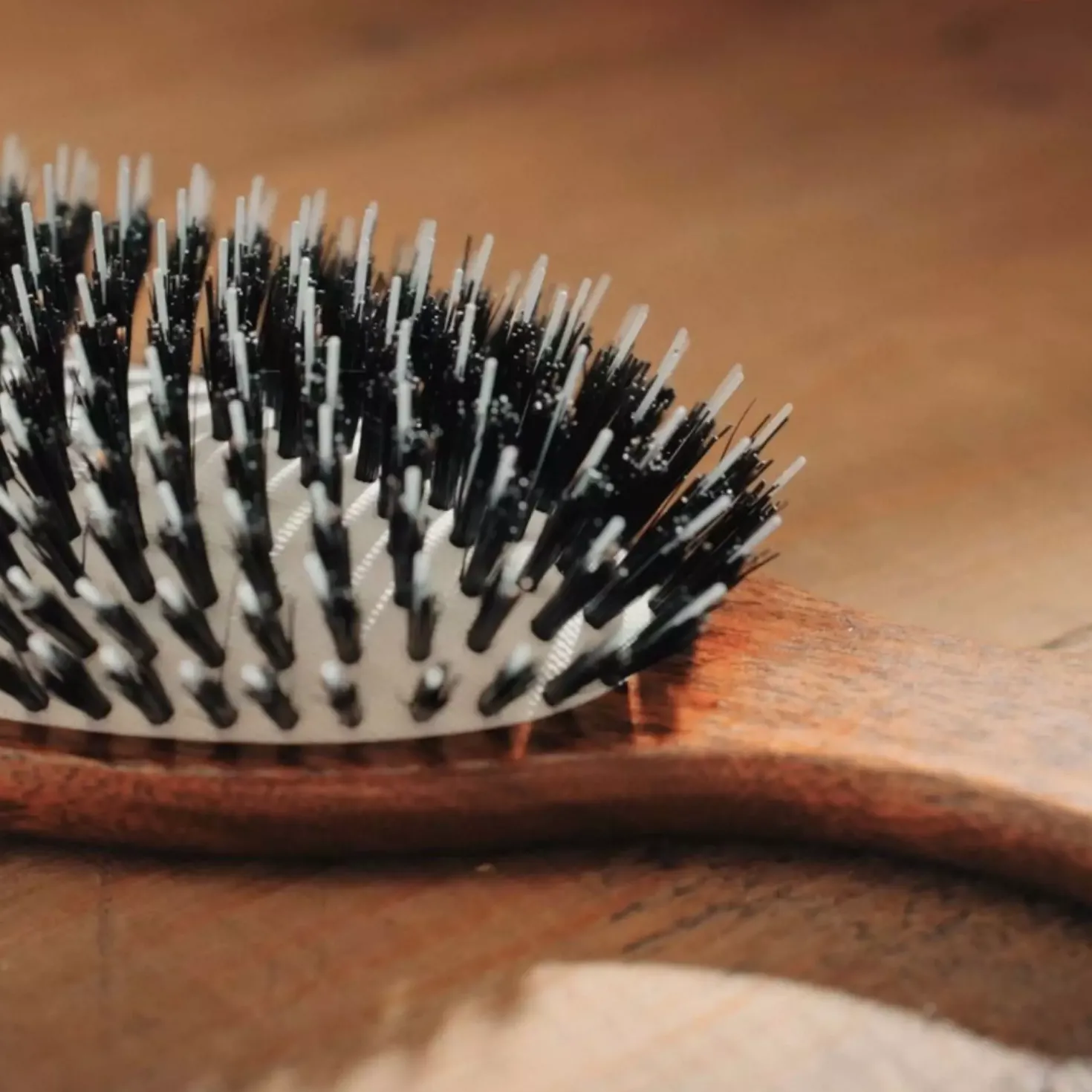 Acca Kappa Oval Brush Kotibe´ Wood 100% Boar Bristles & Nylon Monofilament