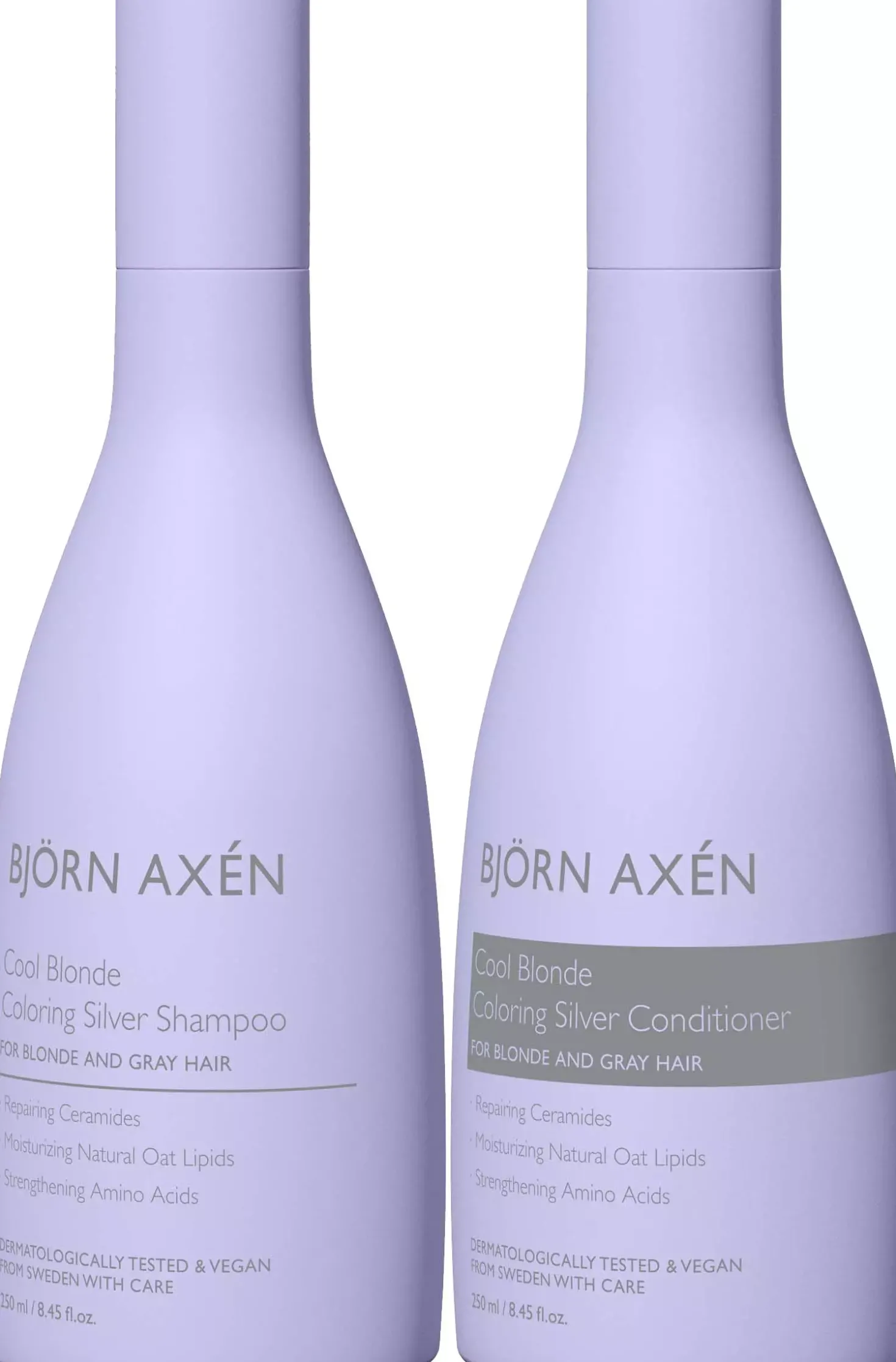 Björn Axén Cool Blonde Coloring Silver Standard