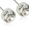 BlomdahlSilver Titanium Crystal Bezel 4mm 4 mm