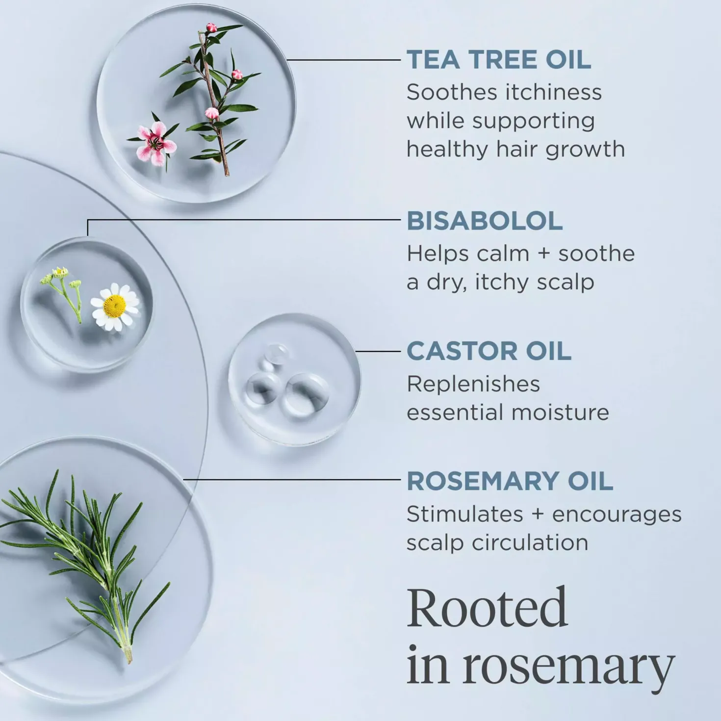 BriogeoScalp Revival™ Rosemary Pre-Wash Oil