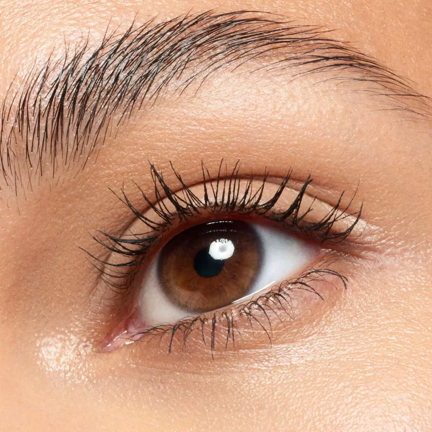 Catrice Lash Brow Designer Shaping And Conditioning Mascara Gel 010