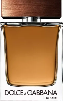Dolce & Gabbana for Men The One Eau de Toilette 100 ml