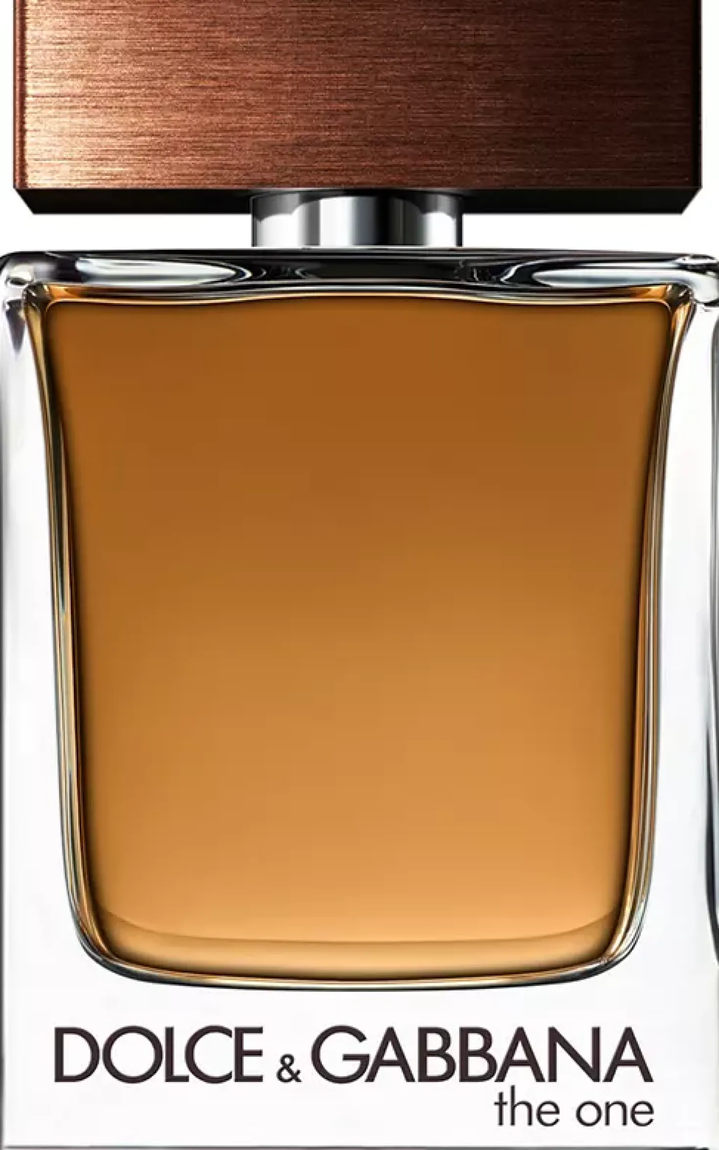 Dolce & Gabbana for Men The One Eau de Toilette 100 ml