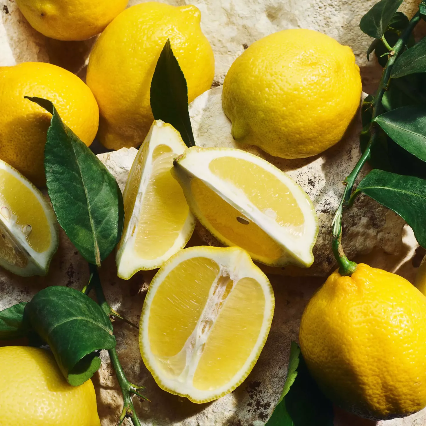Dolce & Gabbana Light Blue Eau de Toilette 100 ml