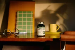 Elexir Pharma Ashwaganda 120 stk