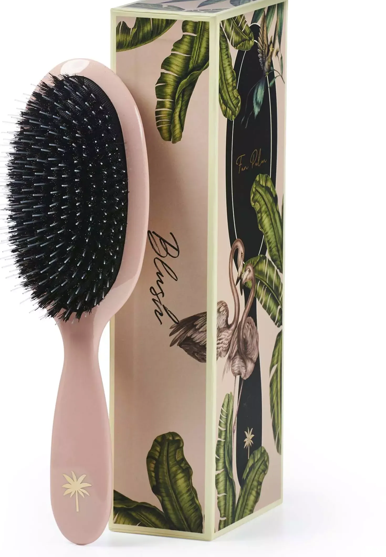 Fan Palm Medium Blush Brush