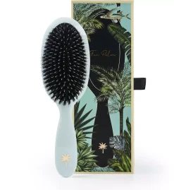 Fan Palm Medium Maldives Brush