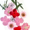 Glitternisti Face Flowers Pink & Greens
