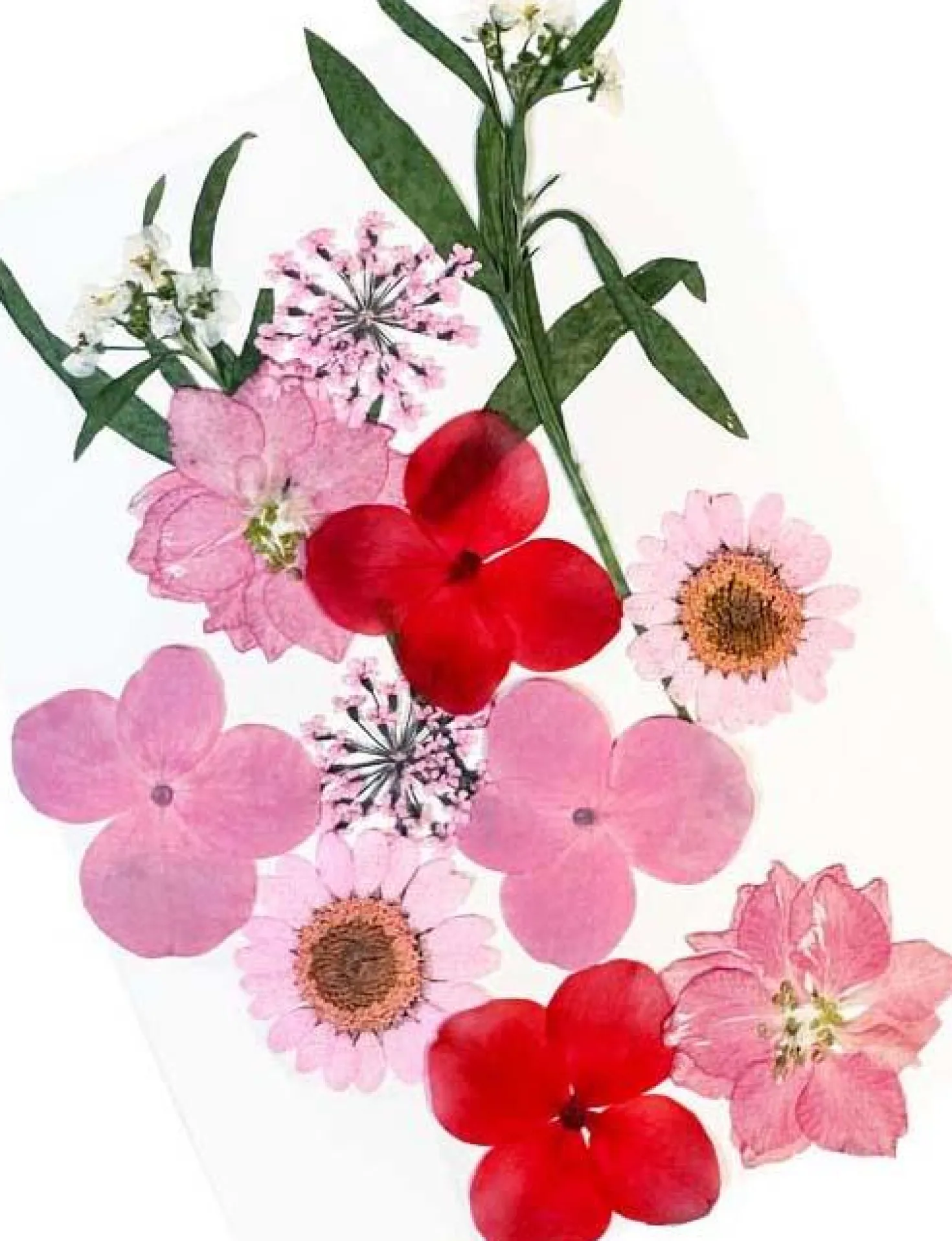 Glitternisti Face Flowers Pink & Greens