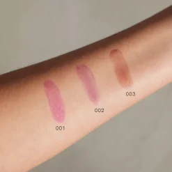 Gosh Lip Stain 003 Dark Chocolate
