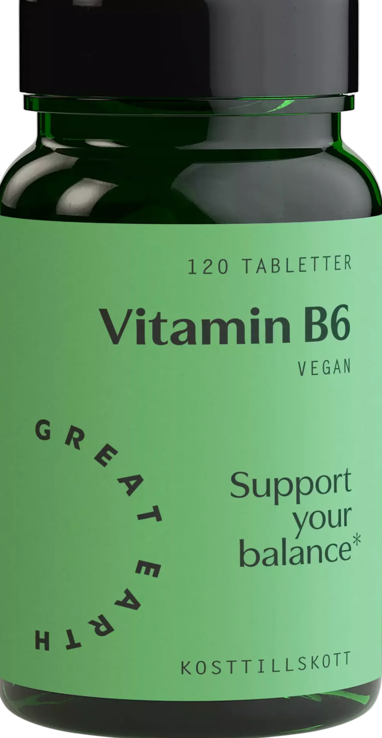 Great Earth Vitamin B6 120 stk
