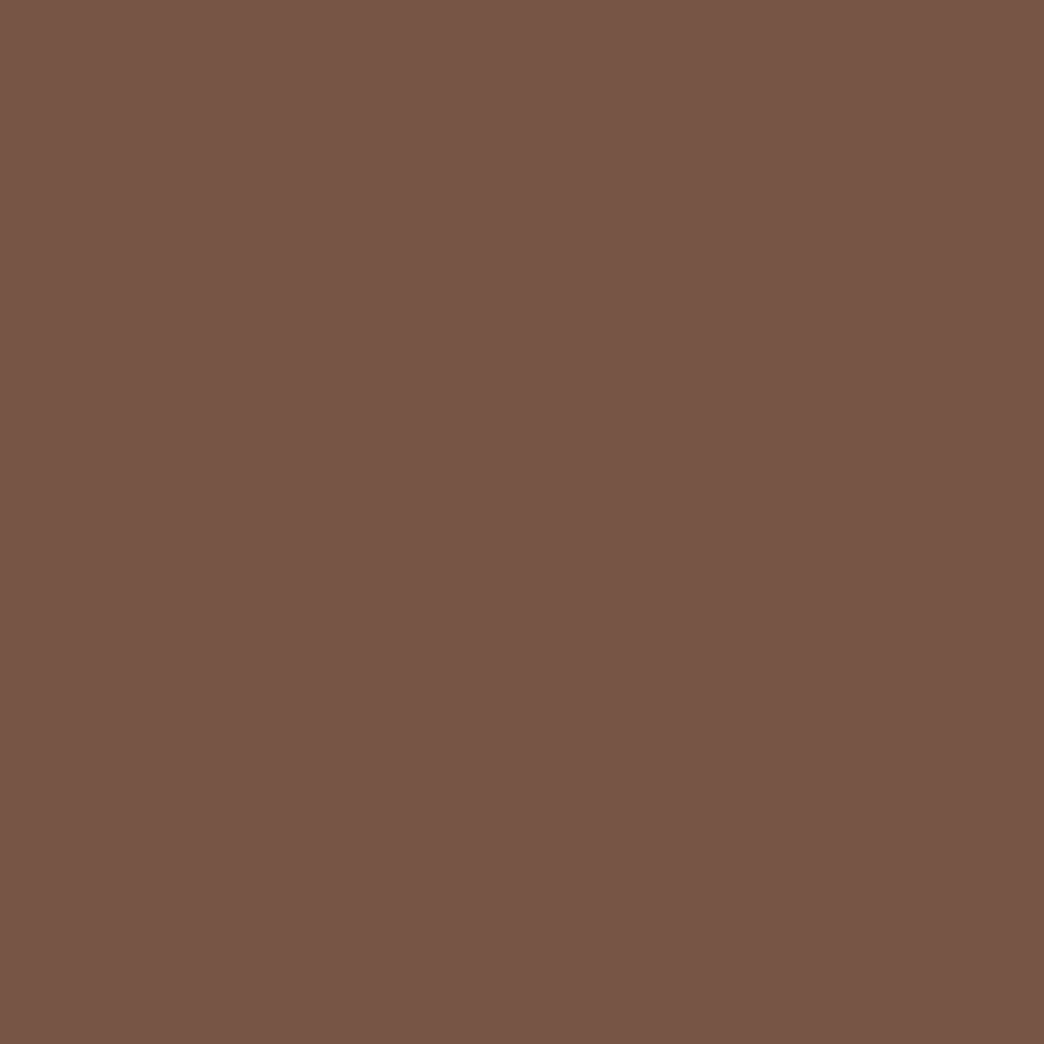 IsaDora The Brow Powder Pen, Shapes, Defines & Fills 02 Dark Brown
