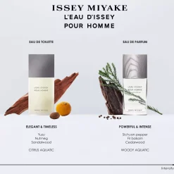 Issey Miyake L'Eau D'Issey Pour Homme Eau de Toilette 125 ml
