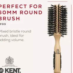 Kent Brushes Stor Round Brush Boar