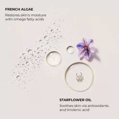 Laura Mercier Serum Body Cream Almond Coconut 200 ml