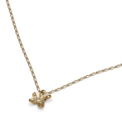 Lily and Rose Petite Eponine Necklace Gold