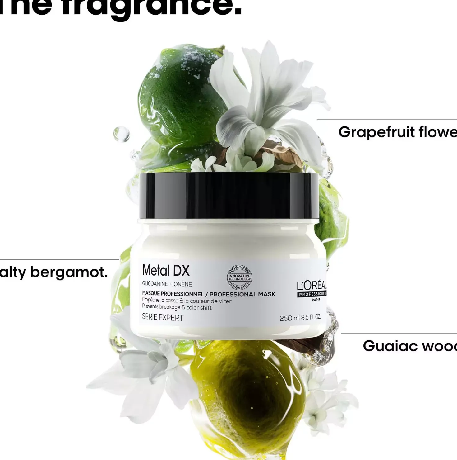L'Oréal ProfessionnelMetal DX Mask 250 ml
