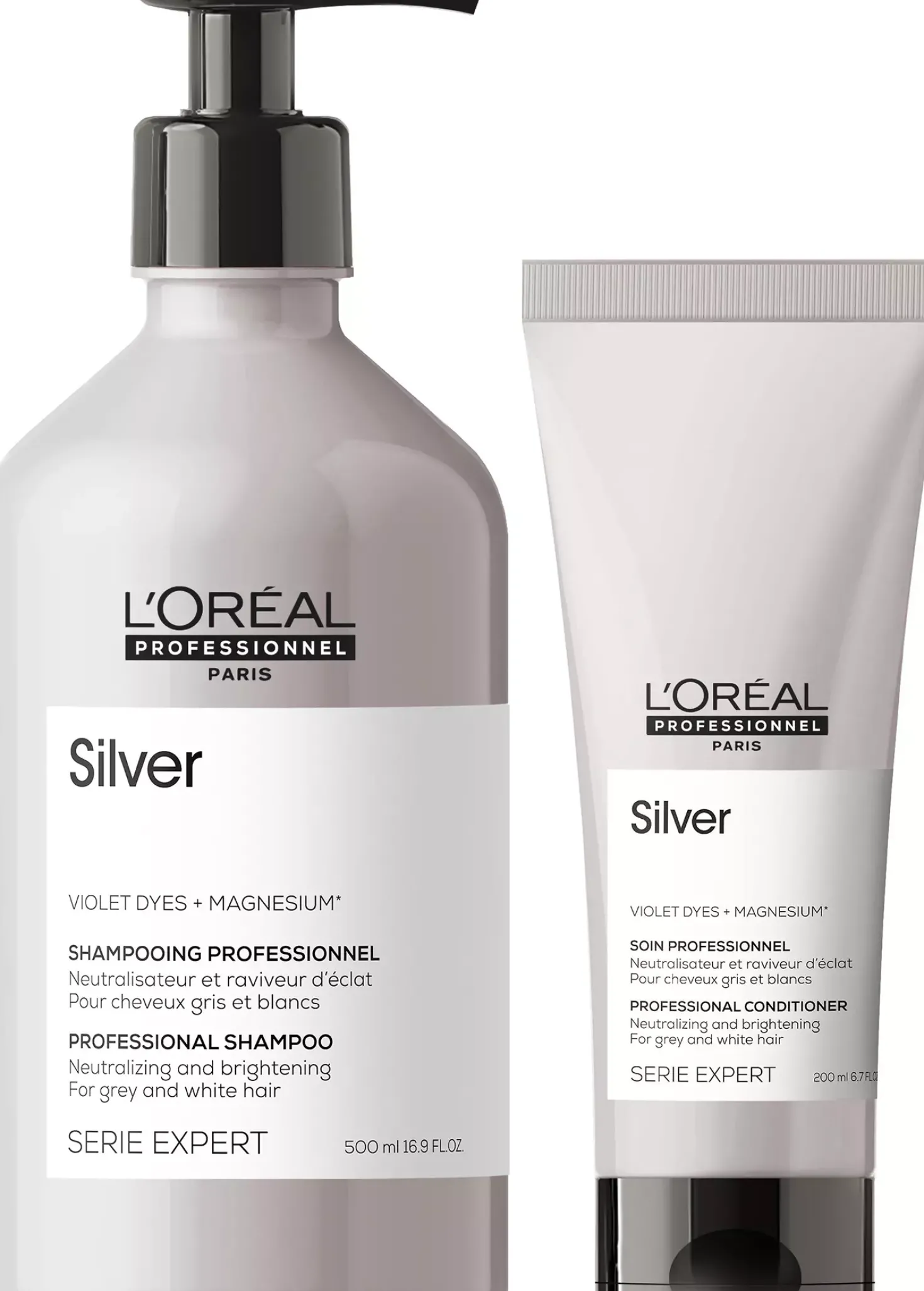 L'Oréal Professionnel Silver Big Duo