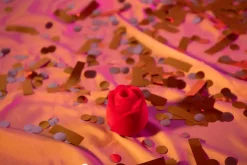 Lovehoneymon ami Pleasure Air Rose
