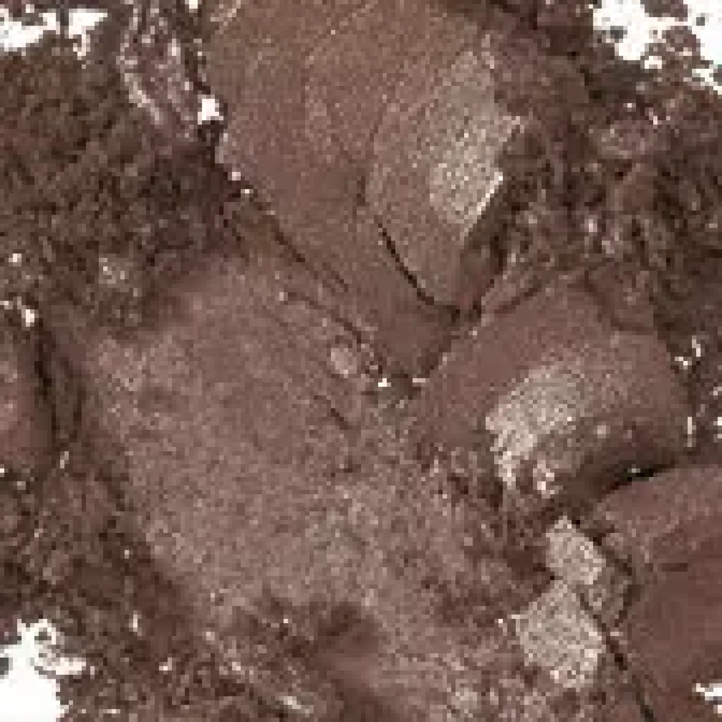 MAC Cosmetics Veluxe Pearl Palette Woodwinked