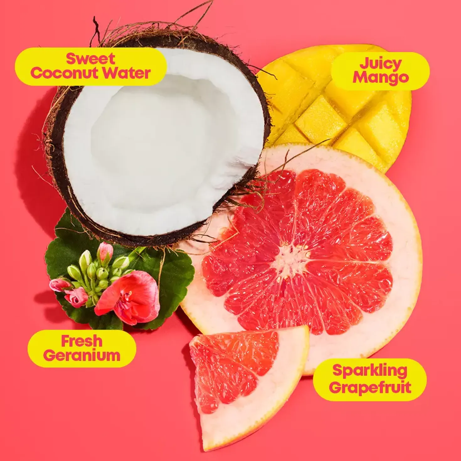 Matrix Food For Soft Routine with Mask