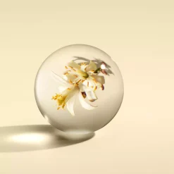 Molton Brown Orange & Bergamot Fine Liquid Hand Wash Glass Bottle 200 ml