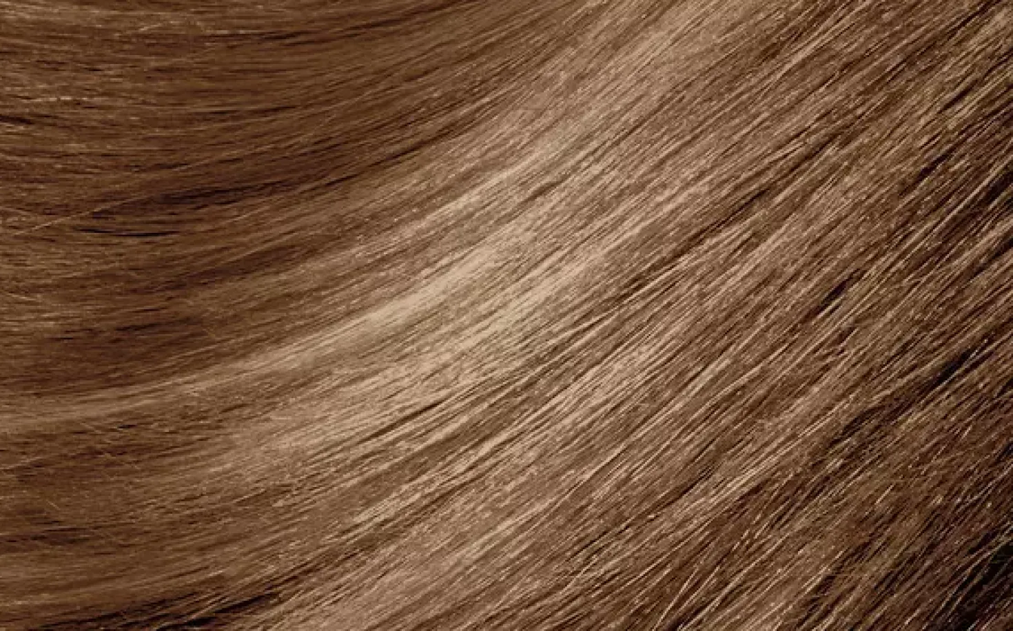 MontibelloDénuée OTC 7.36 Blonde Golden Chestnut