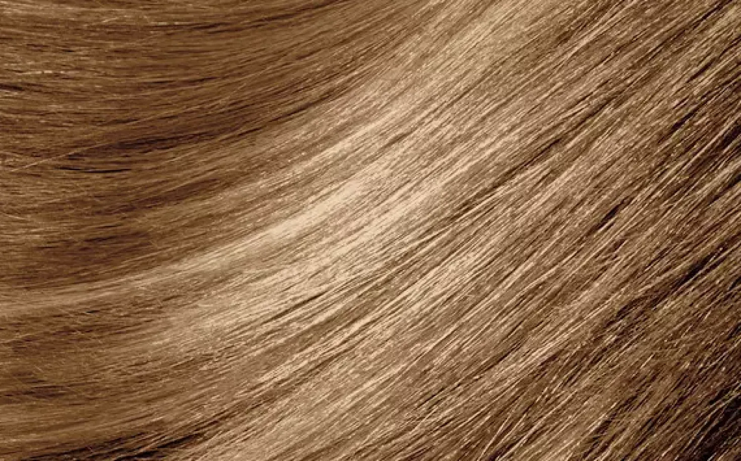MontibelloDénuée OTC 8.31 Light Blonde Golden Ash