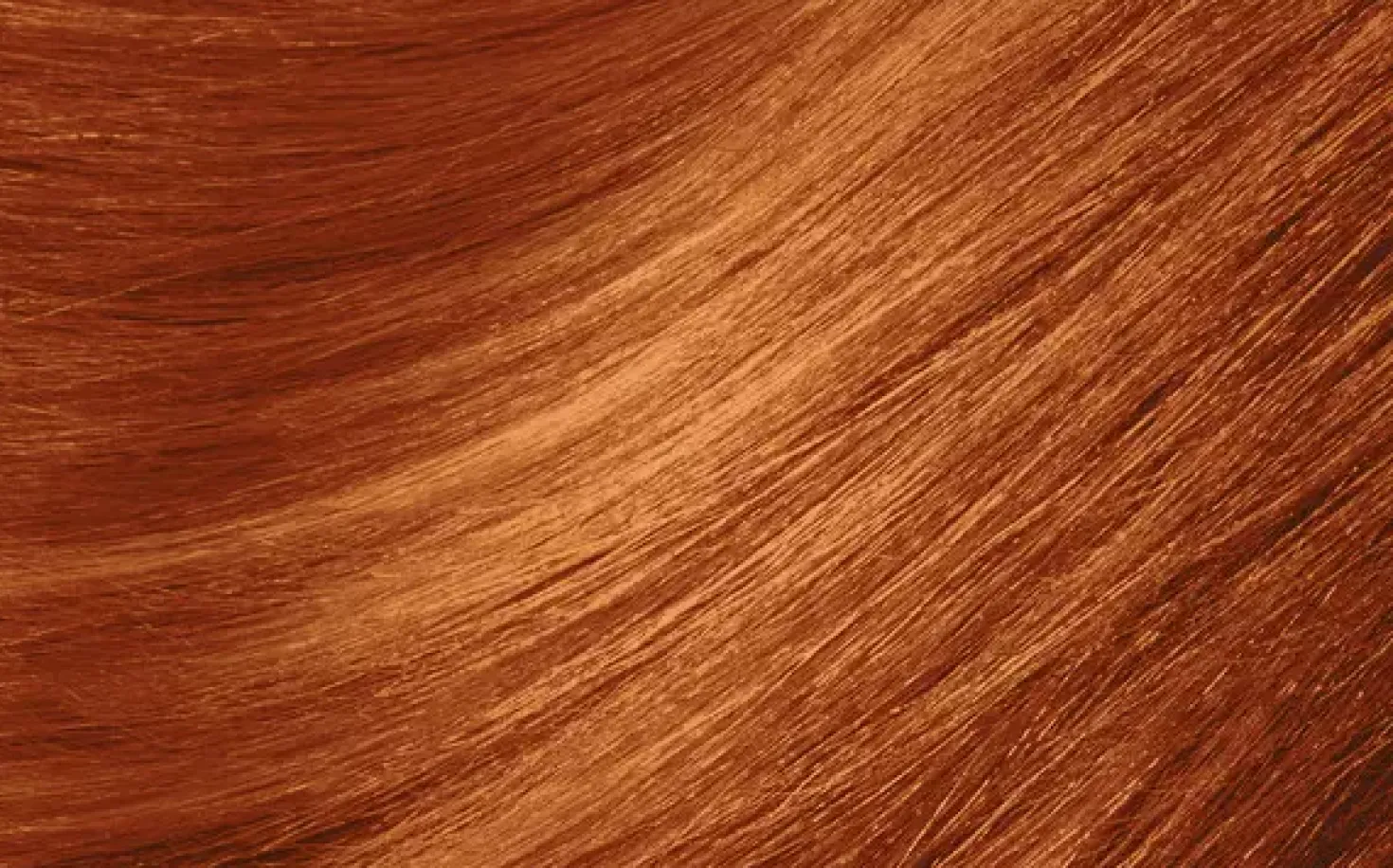 MontibelloDénuée OTC 8.4 Light Blonde Copper