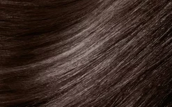 MontibelloDénuée OTC 5.66 Light Brown Intensive Chestnut