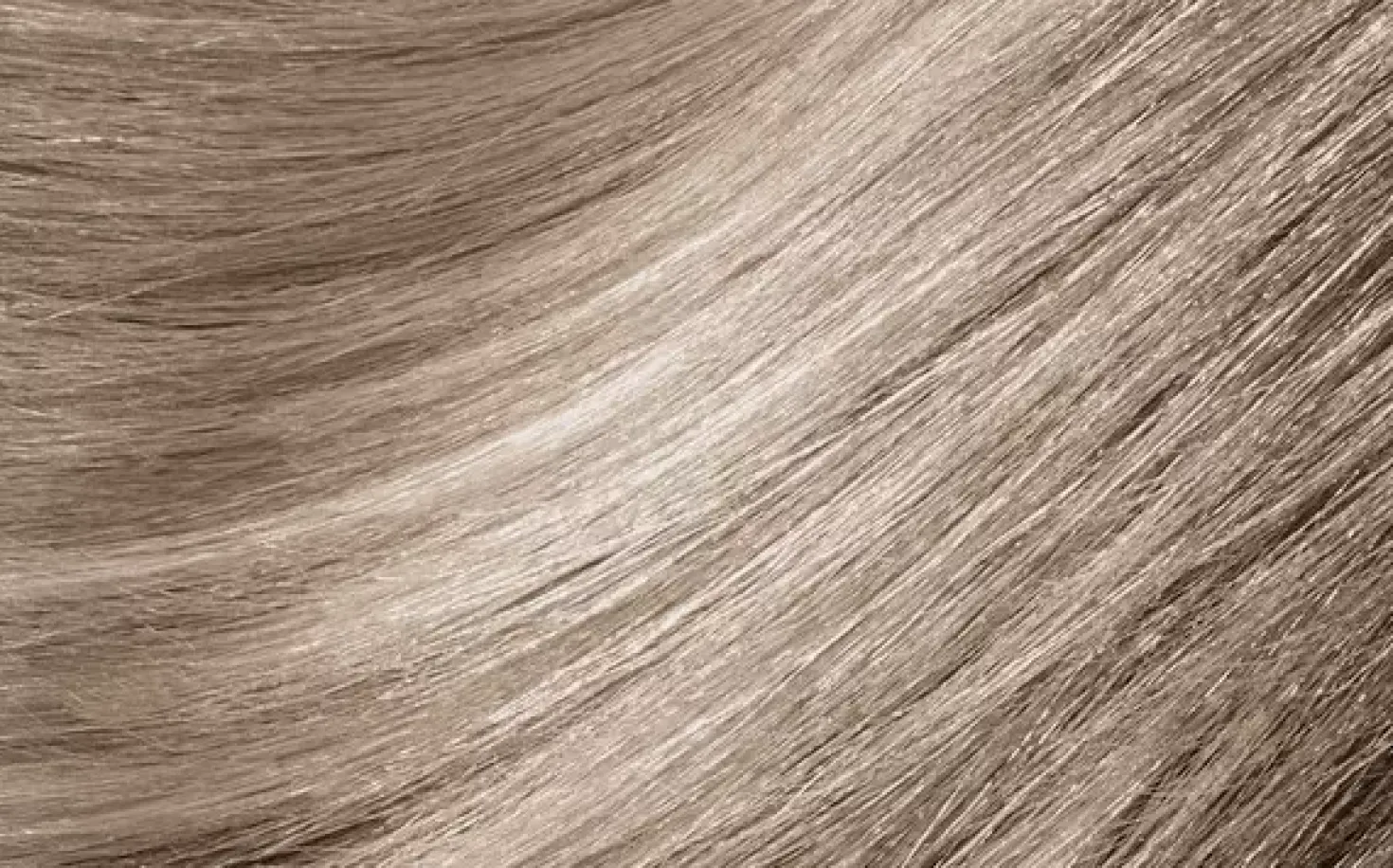 MontibelloDénuée OTC 10.1 Platinum Blonde Ash