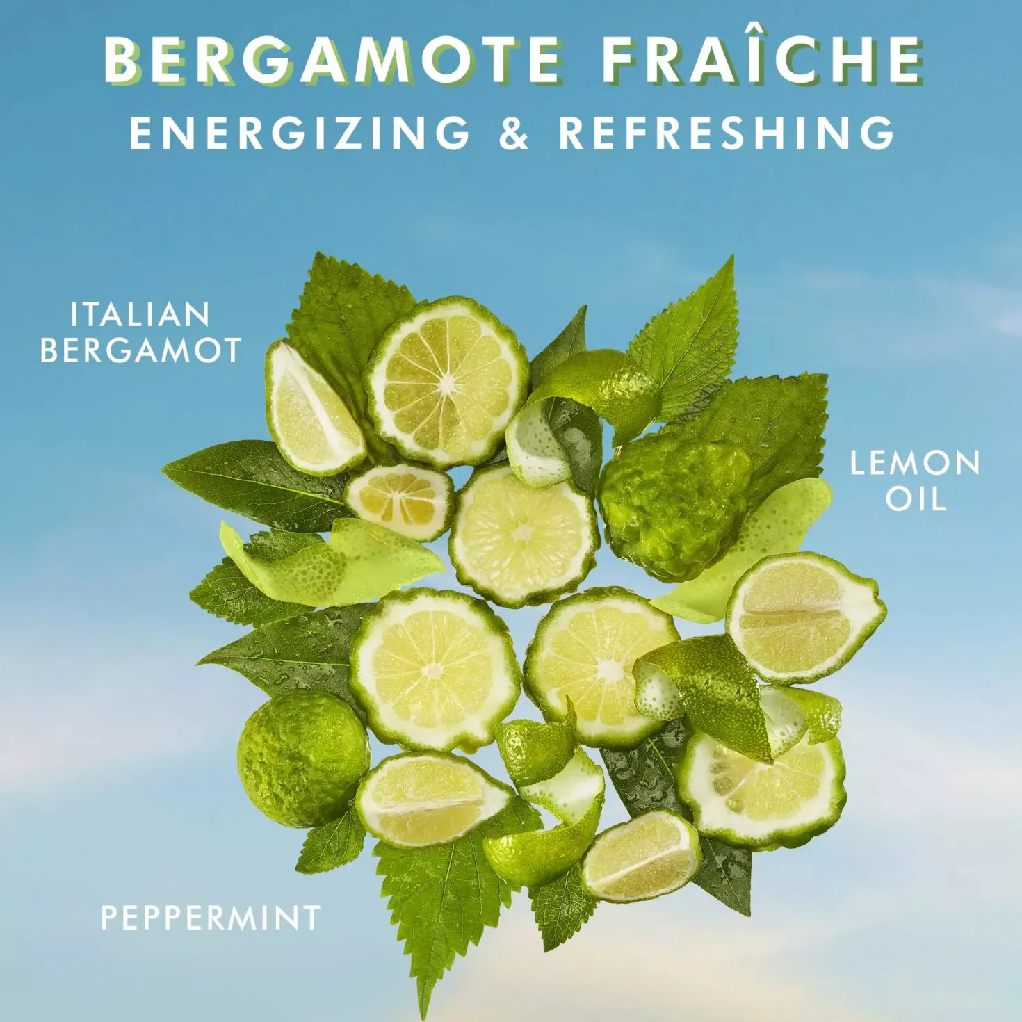 MoroccanoilBody Collection Hand Wash Bergamot Fraiche 360 ml