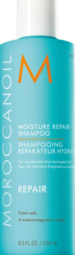 Moroccanoil Moisture Shampoo 250 ml
