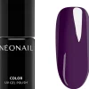 NEONAILStarter Set Signature Selection