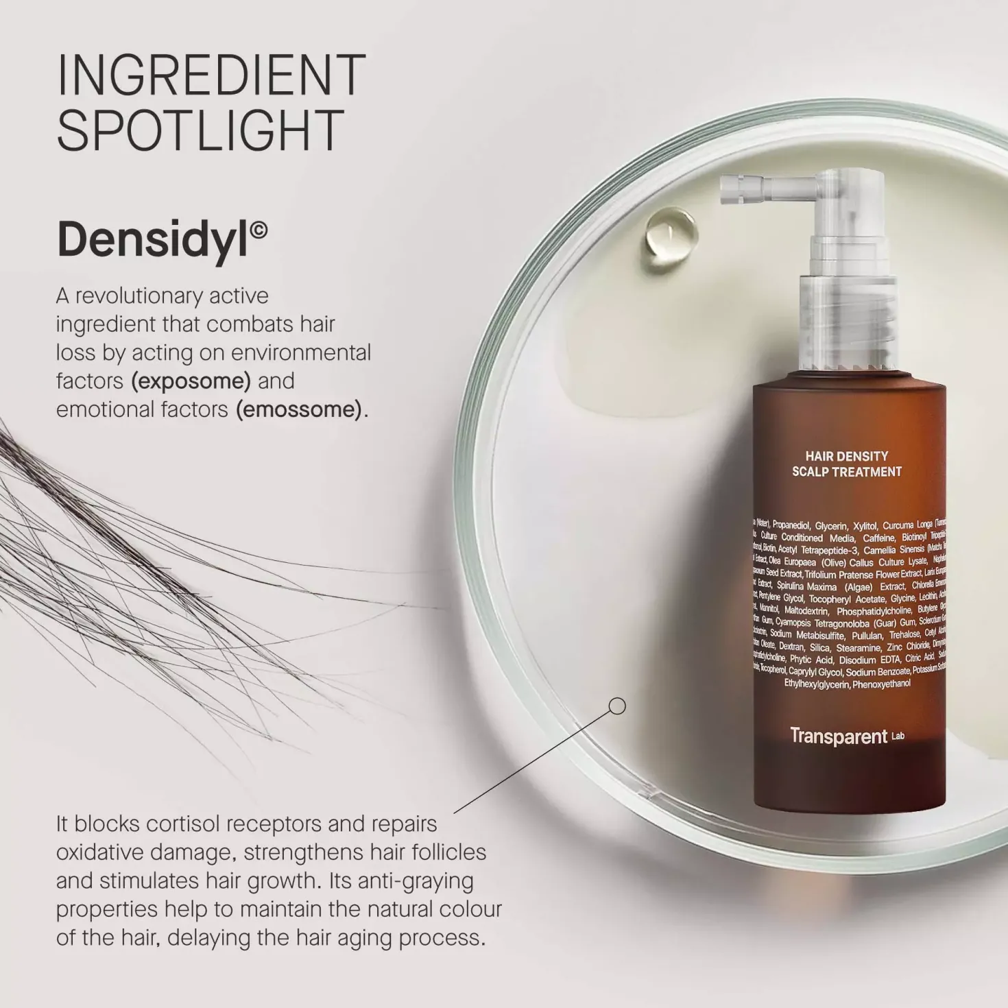 NICHE BEAUTY LABTransparent Lab Hair Density Scalp Treatment 50 ml