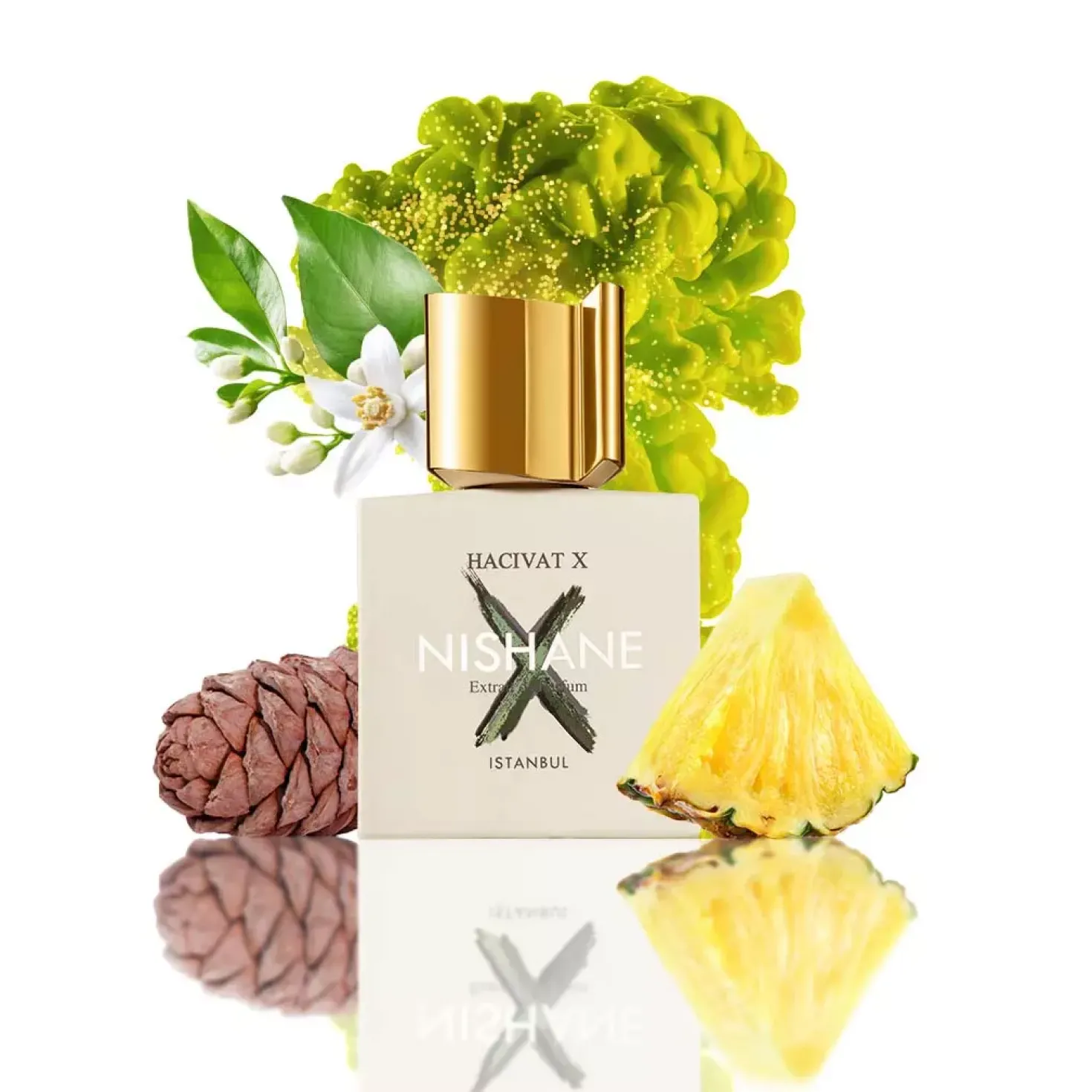 Nishane Hacivat X 50 ml