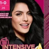 Palette Intensive Creme Coloration 6-0 Light Brown