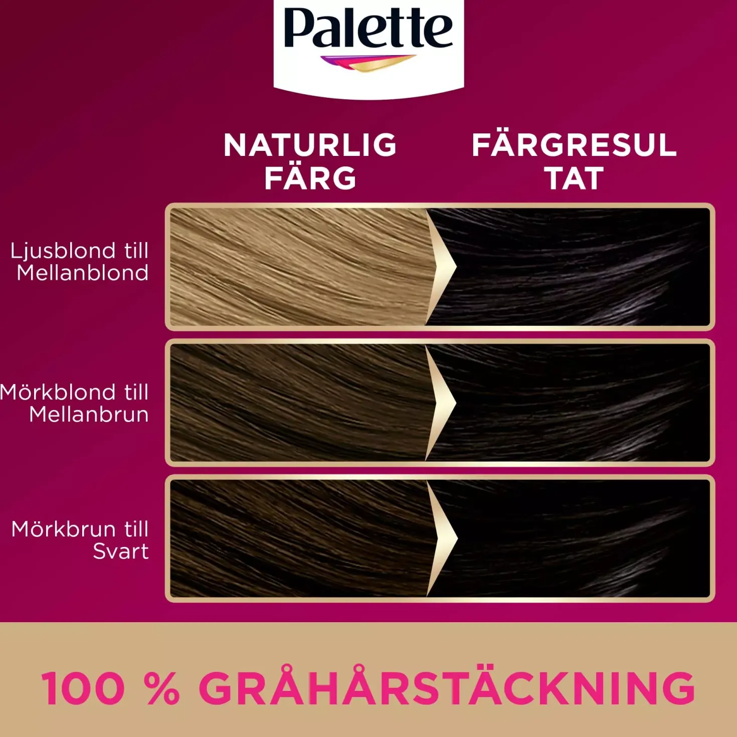Palette Intensive Creme Coloration 6-0 Light Brown