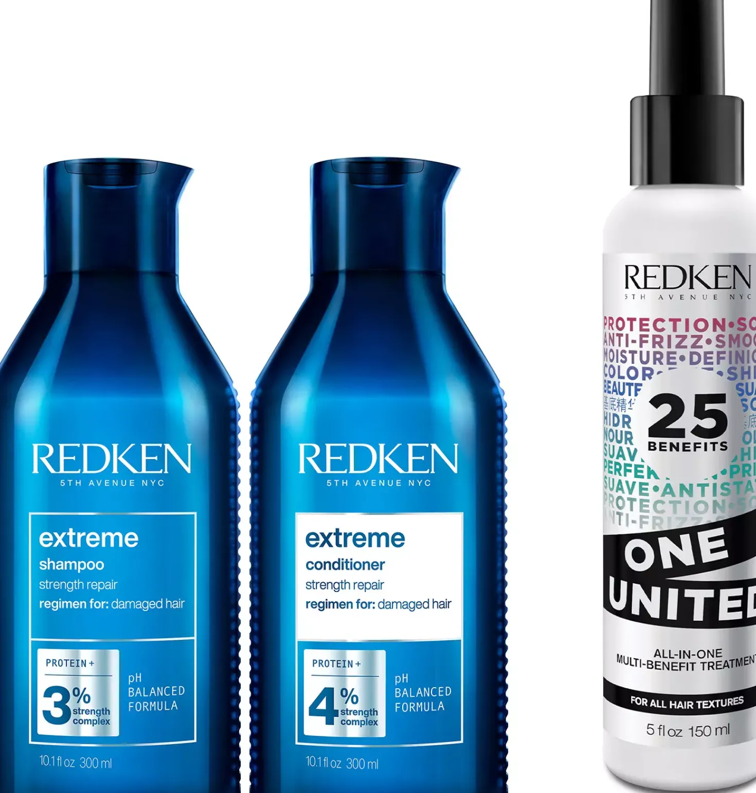 Redken Extreme Routine with Multi-Treatment