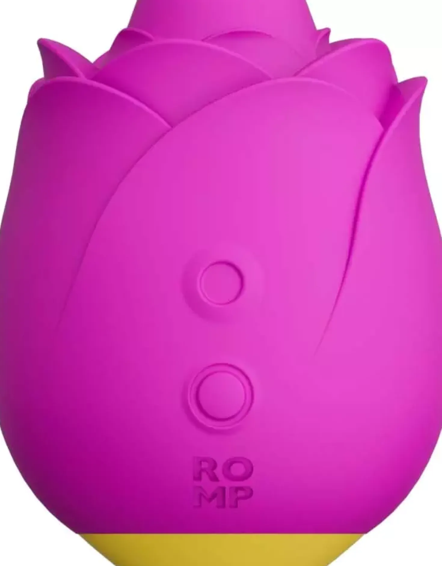 ROMP Rose
