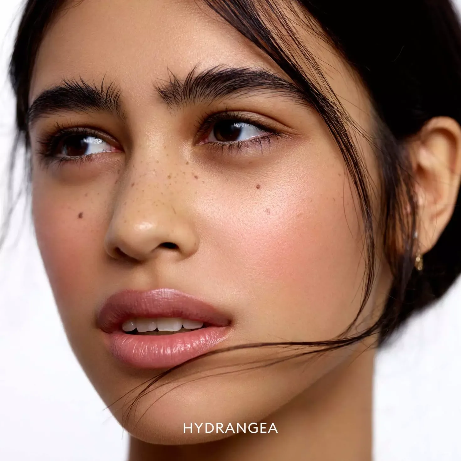Rose Inc Blush Divine Radiant Lip & Cheek Color Hydrangea