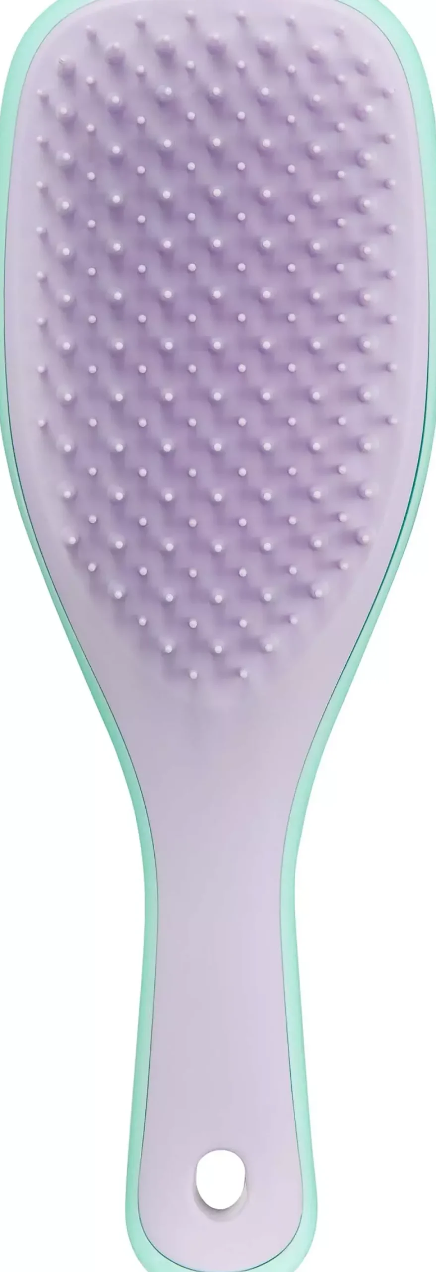 Tangle TeezerThe Wet Detangler Mini