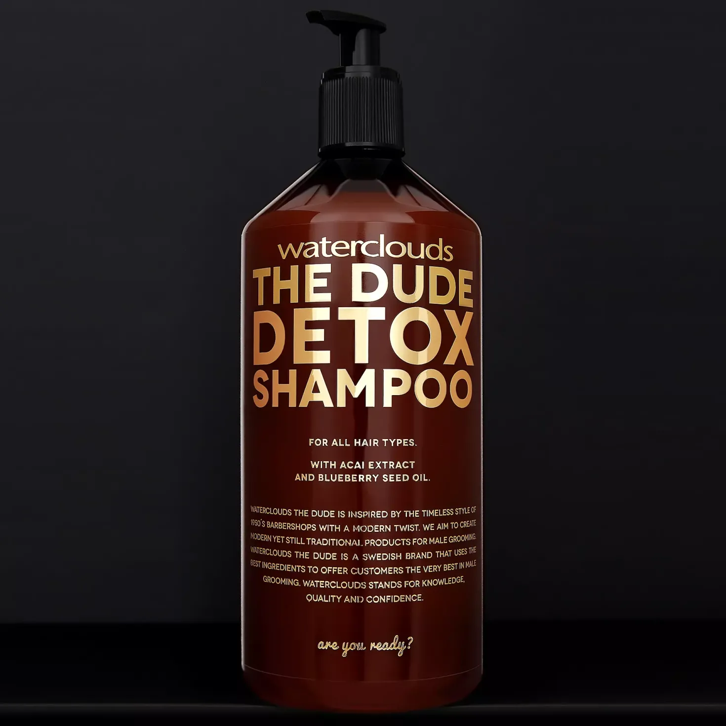 WatercloudsThe Dude Detox Shampoo 1000 ml