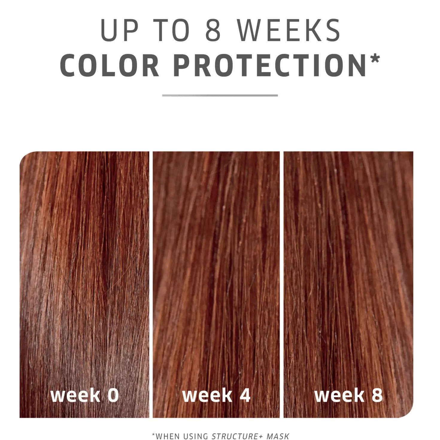 Wella ProfessionalsColorMotion+ Color Protection Shampoo 50 ml