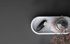 Womanizer Mini 2