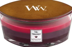 WoodWickSun Ripened Berries Trilogy Large Large